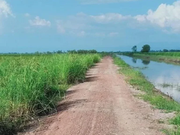 ขายที่สวยเหมาะทำโคกหนองนา 14 ไร่ 2 งาน 52 ตรว ตท่าเรือ อปากพลี จนครนายก โฉนดพร้อมโอน