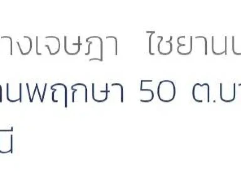 พฤกษา 50 บ้านแฝด 336 ตรวา หัวมุม หลังใหญ่มาก เนื้อที่เป็น 2 เท่า สไตล์บ้านเดี่ยว เป็นส่วนตัว ต่อเติมหลังคาโรงรถ และ ครัวสวยพร้อมอยู่ โครงการติดถนนให