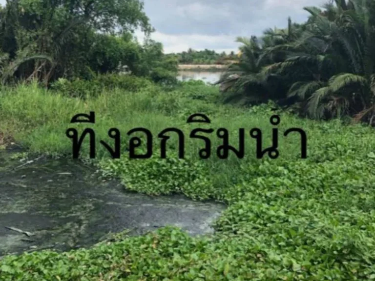 ขายที่ดินติดแม่น้ำ