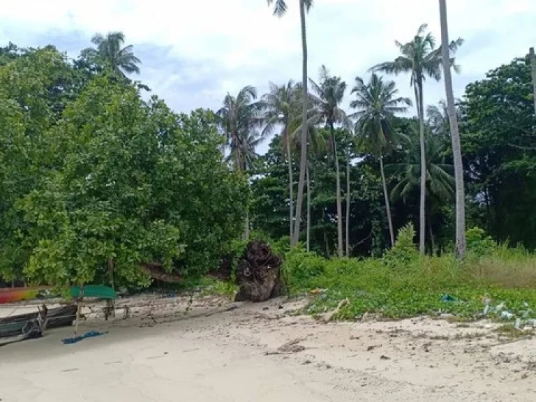 ขายที่ดินติดหาดทราย อเกาะยาว จพังงา เนื้อที่ 27ไร่ๆละ 65ล้านบาท