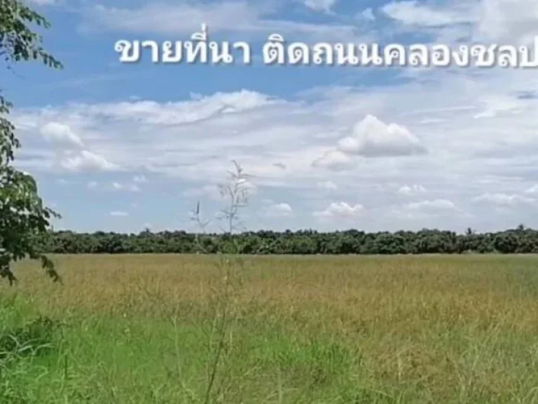 ขายที่นา ติดคลองชลประทาน เชียงใหม่