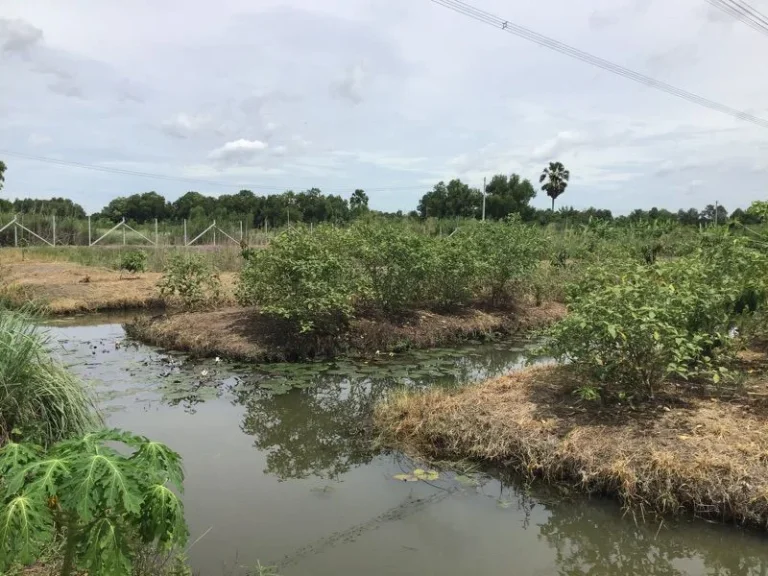 ขายที่ดินเปล่า 3 ไร่ คลองสิบ หนองเสือ