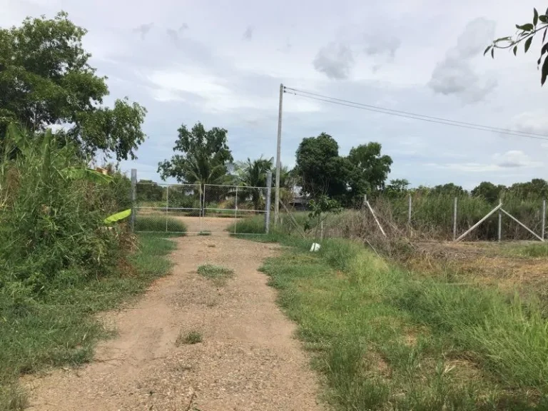 ขายที่ดินเปล่า 3 ไร่ คลองสิบ หนองเสือ