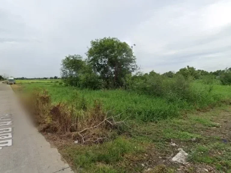 ที่ดินปทุมธานี 7 ไร่ ที่ดินบ้านฉางเมืองปทุมธานี ห่างถนนใหญ่ประมาณ 800 เมตร ใกล้ถนนราชพฤกษ์ช่วงเมืองปทุมธานี-รังสิตปทุมธานี