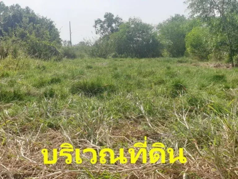 ขายที่ดินซอยสุวินทวงศ์ 28 แยก 26 ถมแล้ว 150 ตรว ด้านข้างติดคลอง หน้าติดถนนสาธารณะ