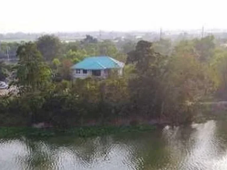 Land For Sale ที่ดิน ติดแม่น้ำท่าจีน 6 ไร่ พร้อมบ้าน นครชัยศรี