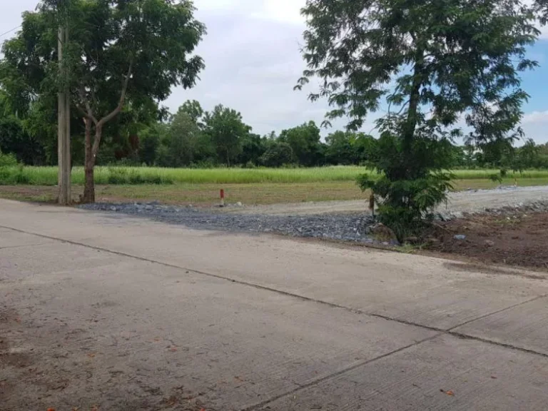 ขายที่ดินในกรุงเทพฯ เขตหนองจอก 100 ตรว ติดถนนราคาถูก