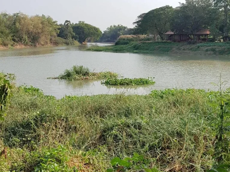 ขายที่ดิน 2 ไร่ ติดแม่น้ำท่าจีน ใกล้บึกฉวาก อเดิมบางนางบวช จสุพรรณบุรี