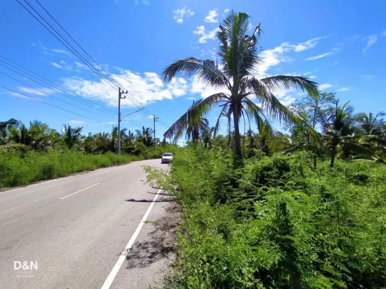 ขาย ที่ดิน 2 ไร่ ติดคลองแม่กลอง สมุทรสงคราม ติดถนนลาดยาง ใกล้วัดปัจจันฯ