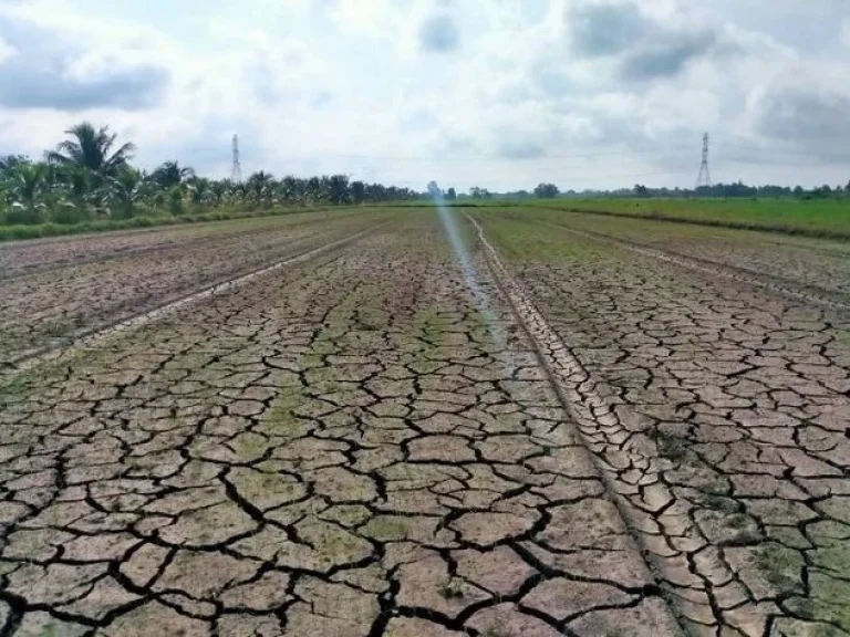 ขายที่ดินผืนเล็ก เนื้อที่ 100 ตรว หน้ากว้าง 12 เมตร คลอง 9 หนองเสือ ปทุมธานี 3 ใกล้ซอยลุงจุน