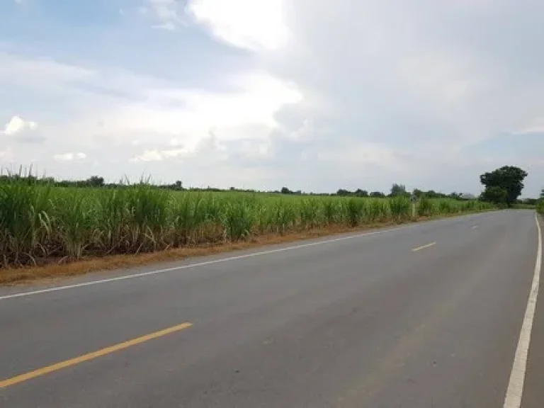 ขายที่ดิน ขนาด 44 ไร่ ติดถนนทางหลวงแผ่นดิน ที่ทุ่งคอก อสองพี่น้อง จสุพรรณบุรี