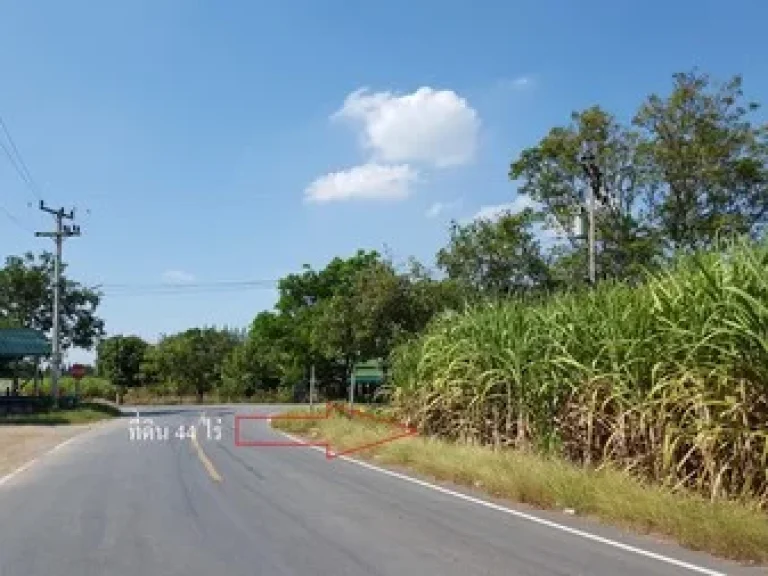 ขายที่ดิน ขนาด 44 ไร่ ติดถนนทางหลวงแผ่นดิน ที่ทุ่งคอก อสองพี่น้อง จสุพรรณบุรี