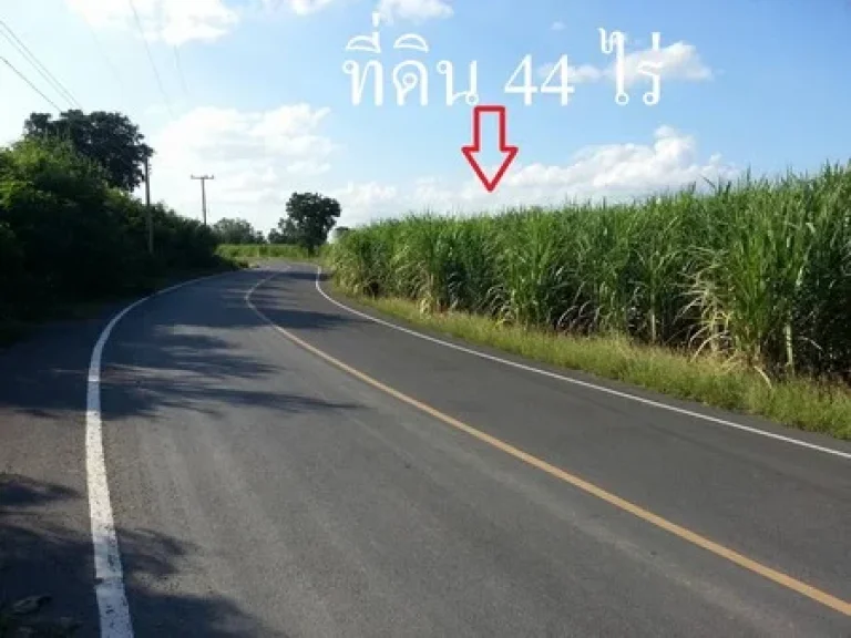 ขายที่ดิน ขนาด 44 ไร่ ติดถนนทางหลวงแผ่นดิน ที่ทุ่งคอก อสองพี่น้อง จสุพรรณบุรี