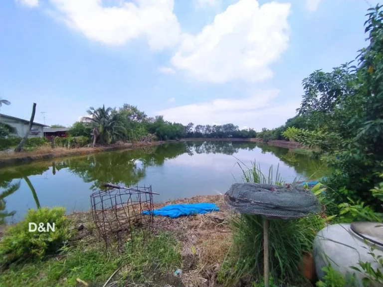 ขาย ที่ดิน 4 ไร่ พร้อมบ้าน ติดถนนลาดยาง กาหลง สมุทรสาคร ใกล้ถนนพระราม2