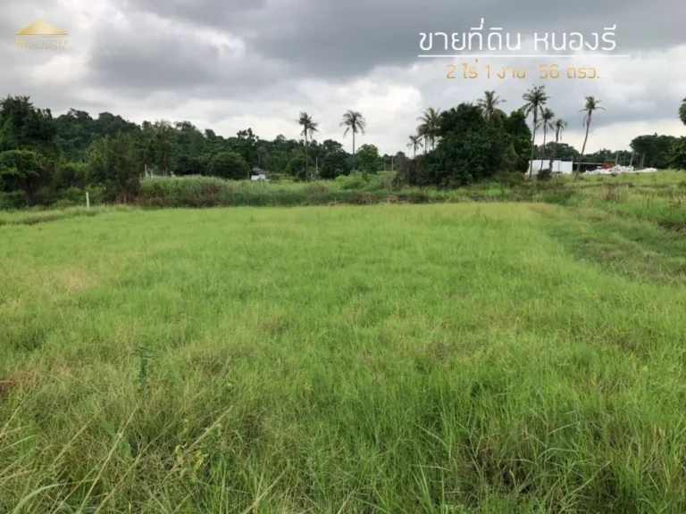 ขายที่ดินหนองรี ชลบุรี