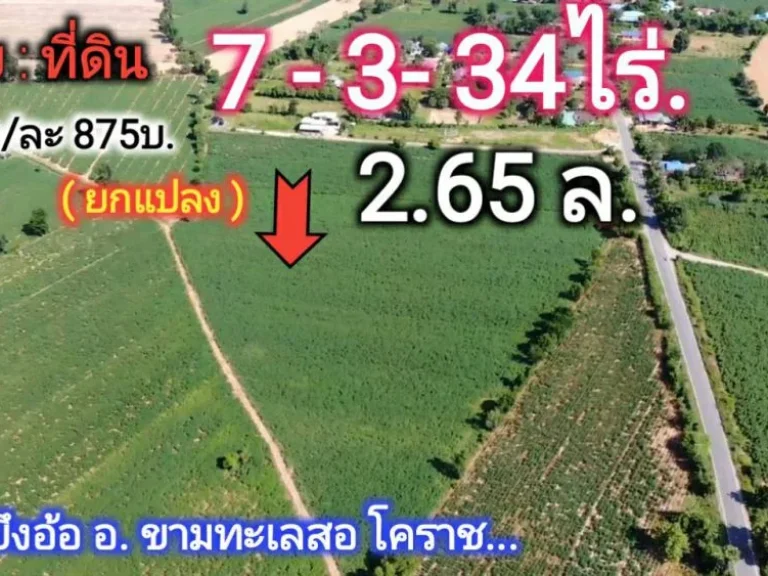 เจ้าของต้องการขายด่วน ที่ดินหายาก ยกแปลง 265 ล 7- 2- 43 ไร่ ตบึงอ้อ อขามทะเลสอ แบ่งได้