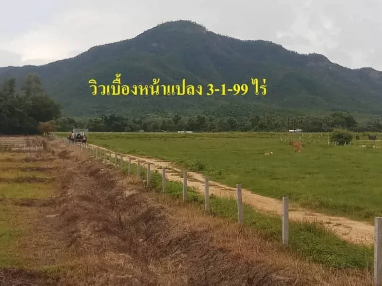 ขายที่ดินออนใต้ วิวดอย สันกำแพง เชียงใหม่