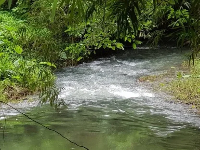 ขายที่สวนหน้าติดถนนลาดยาง ท้ายติดลำธาร เนื้อที่ 4 ไร่ 67 ตรว ตเขาพระ อเมืองนครนายก จนครนายก