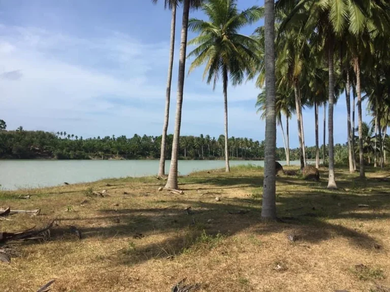 Land for long rent in Nakhon Si Thammmarat province