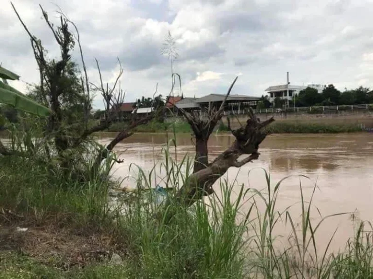 ขายที่ดินติดแม่น้ำเจ้าพระยา จอยุธยา