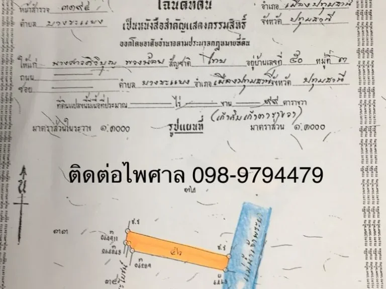 ขายที่ดินสวย 3 แปลง ติดกัน ติดแม่น้ำเจ้าพระยา พร้อมบ้านสวน 2 ชั้น ตำบลบางขะแยง ปทุมธานี