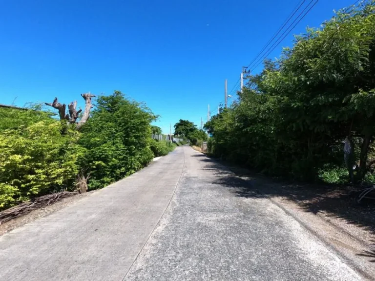 ขายที่ดิน ริมคลองถนนบางไผ่ ตบางรักใหญ่ อบางบัวทอง จนนทบุรี พื้นที่ 115 ตรว