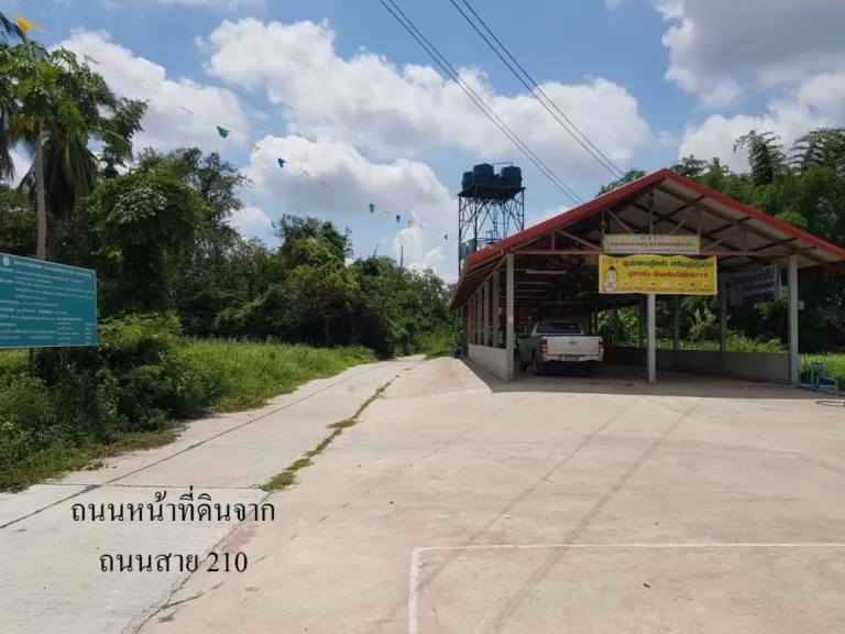 ขาย ที่ดินพร้อมปลูกบ้าน ในเขตชุมชน C76 196 ตรวา ตหนองภัยศูนย์ เมือง หนองบัวลำภู