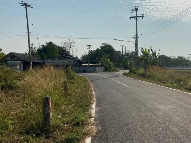 ขายที่ดินติดถนน เห็นพระธาตุ ทำเลค้าขายได้ ดอยสะเก็ต ป่าลาน