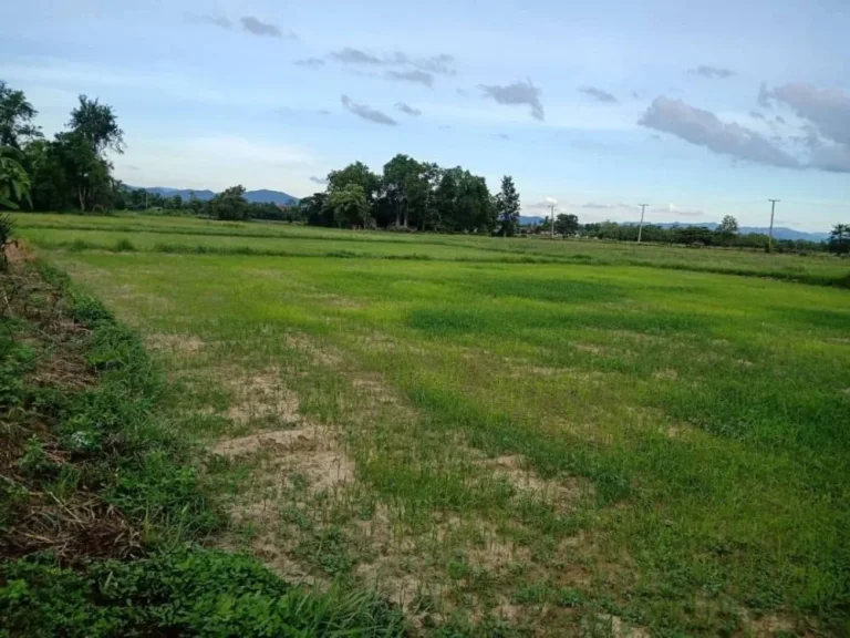 ขายที่ดินติดถนน เห็นพระธาตุ ทำเลค้าขายได้ ดอยสะเก็ต ป่าลาน