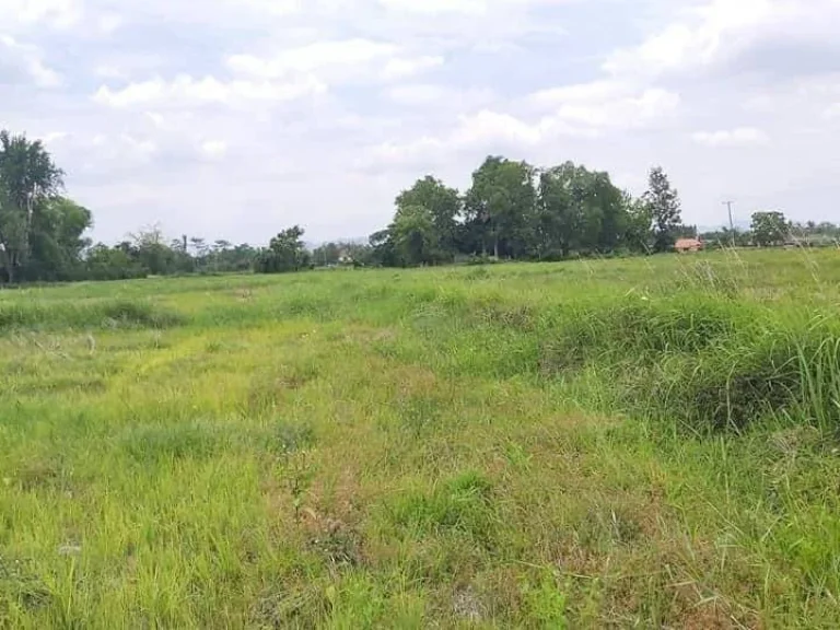 ขายที่ดินติดถนน เห็นพระธาตุ ทำเลค้าขายได้ ดอยสะเก็ต ป่าลาน