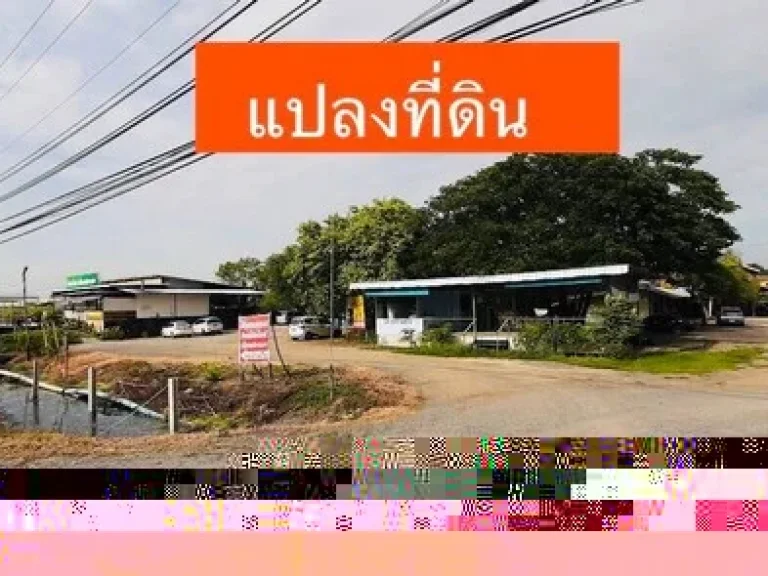 ขายที่ดิน 16-2-89 ไร่ ติด ถกรุงเทพ-ปทุมทล307 เหมาะสำหรับทำหมู่บ้านจัดสรร