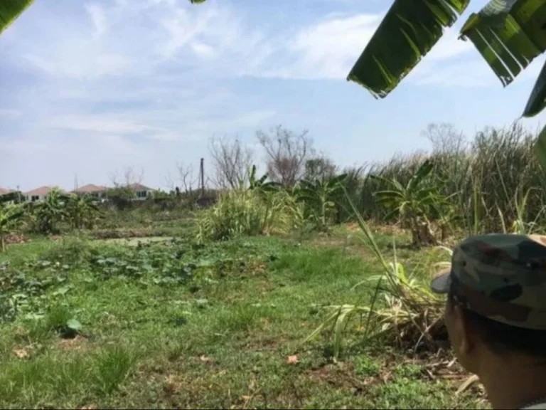 ขายที่ดิน 9 ไร่ บางกรวย นนทบุรี