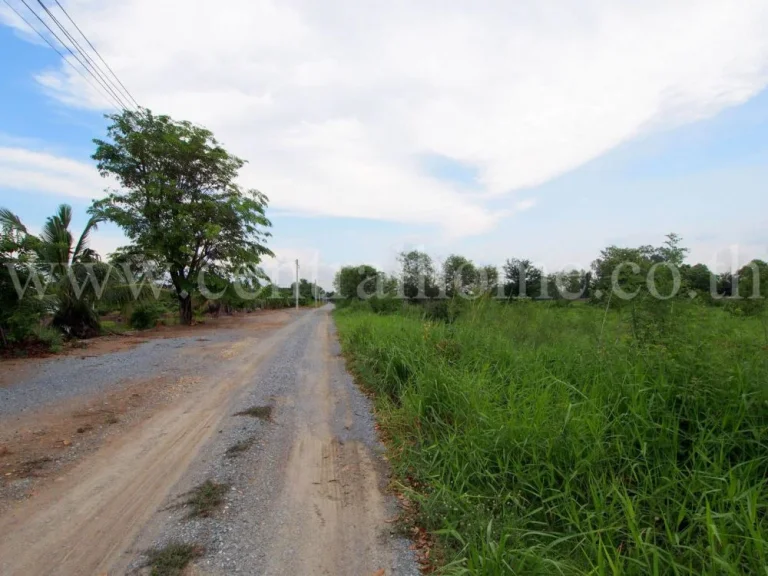 ที่ดินเปล่า 11-2-90 ไร่ ติดถนน ไทรน้อย - ลาดบัวหลวง ใกล้โรงงานไฮเนเก้น