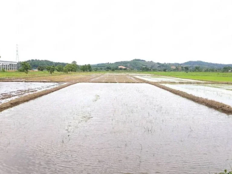 ขาย ที่ดินเปล่า 3510 ตรว ตจอมสวรรค์ อแม่จัน เชียงราย