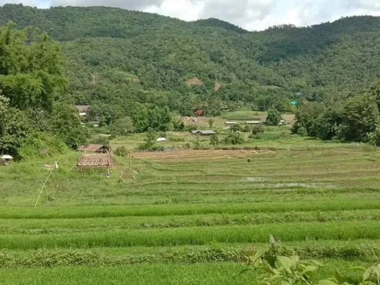 ขายที่นา วิวดอย สะเมิงเหนือ เชียงใหม่