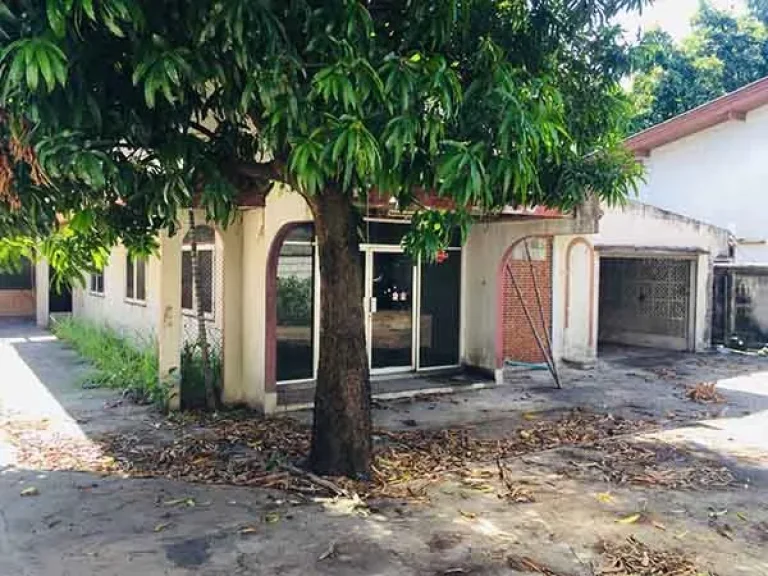 ขายด่วน บ้านสุขุมวิท 71 เหมาะแก่การตกแต่งใหม่ ในสไตล์คุณ For Sale Single House Sukhumvit 71 Good for Renovation to your style