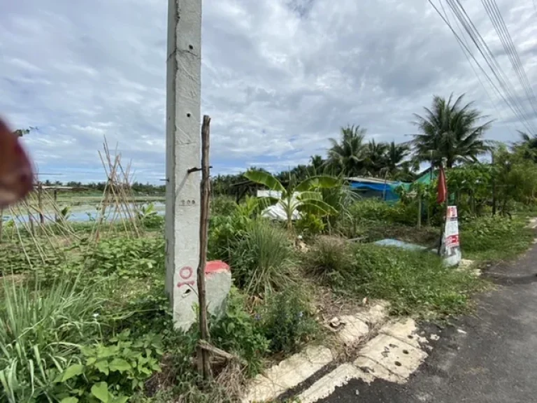 ขายที่ดิน 5 ไร่ ตำบลบ้านเกาะ อำเภอเมือง จังหวัดสมุทรสาคร