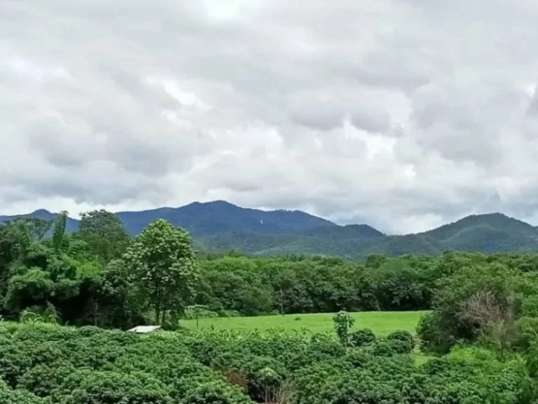 ขายที่ดินเชียงใหม่ติดถนนหลัก 107 วิวภูเขาม่อนแจ่ม