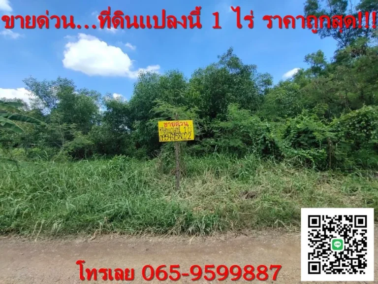 ขายถูก ที่ดิน ซอยคลองสาม 161 คลองสามคลองหลวง