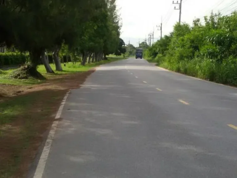 ที่ดินเปล่าสีม่วงเข้มสำหรับสร้างโรงงานอุตสาหกรรม