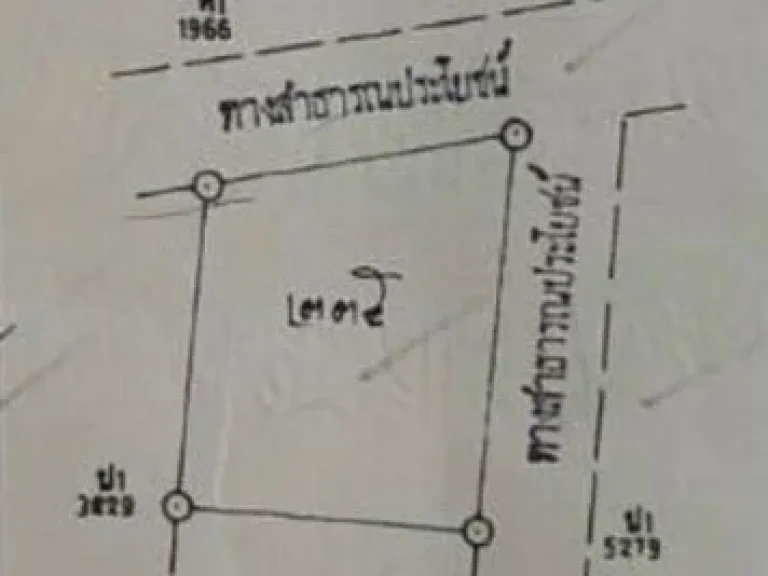 ขายด่วนที่ดิน 1 งาน 35 ตารางวา ราคาต่อรองได้ อำเภอ เนินขาม จังหวัด ชัยนาท