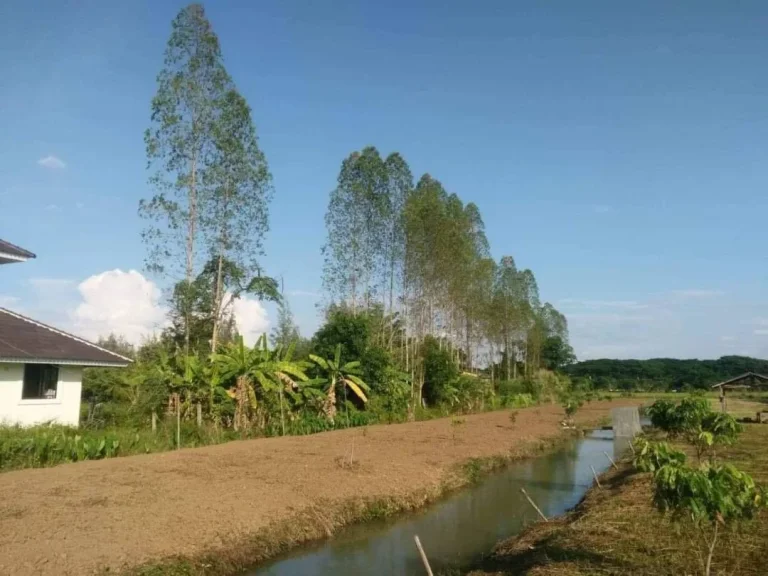 ขายบ้านสวน 2 หลังพร้อมที่ดิน กว้างขวาง บรรยากาศร่มรื่นเย็นสบาย โซนดอยแก้ว สารภี