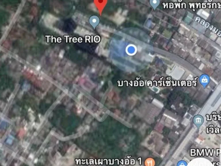 ขายคอนโด THE TREE RIO บางอ้อ วิวดีมากเห็นแม่น้ำเจ้าพระยาแบบเต็มตา