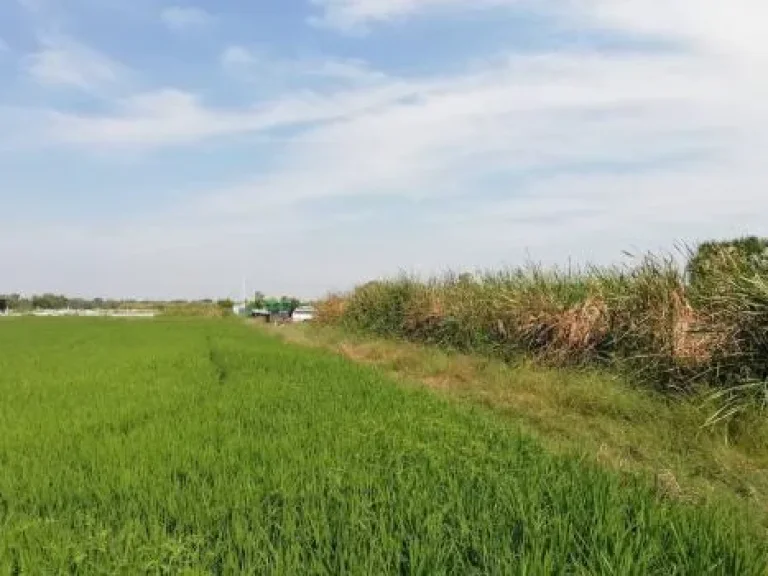 ที่ดิน ระหว่างมีนบุรีหนองจอก เนื้อที่ 8ไร่ หนองจอก กรุงเทพฯ