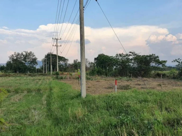 ขายที่ดินติดถนนสันกำแพง สายใหม่ ราคาถูก