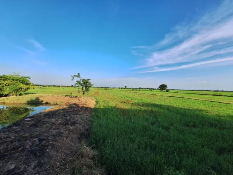 ขายที่ดิน14ไร่ ติดถนนสาย324 กาญจนบุรี-สุพรรณ ตพนมทวน