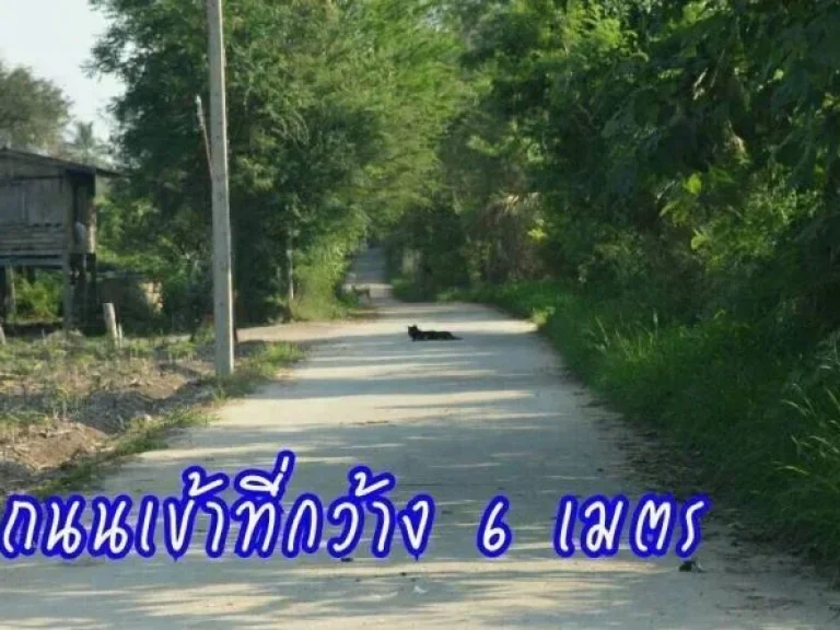 ขายที่ดินผืนใหญ่ 30 ไร่ ที่ติดกับอดุลย์ แสงสิงแก้ว 120