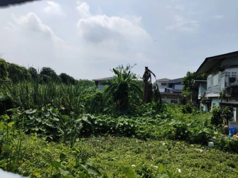 ขายที่ดิน 553 ตรว ซอยพิเศษ 2 ตบางพลีใหญ่ อบางพลี