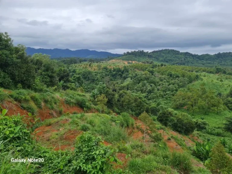 ขายที่ดินสวนทุเรียน อขลุง จจันทบุรี มีคลอง น้ำตก