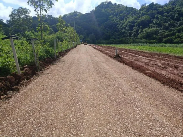 ขายที่ดินเขาใหญ่ 200 ตรว ในโครงการคริสตัลฮิลล์2 วิวเขา